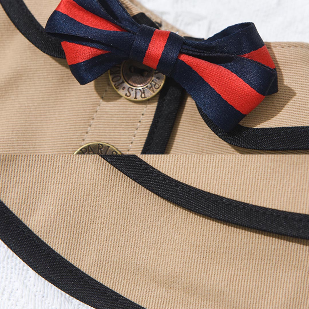 Gentlemeow Cat Bib | Collar for Cats & Kittens | MissyMoMo