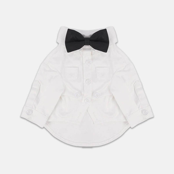 Gentlemeow White Wedding Shirt with a Black Bow Tie for Cats | MissyMoMo
