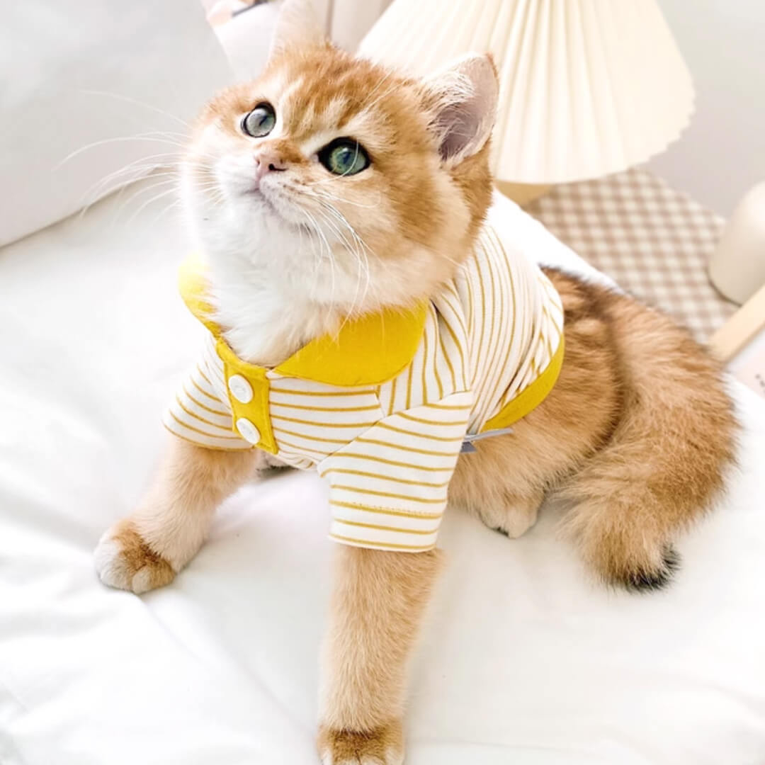 Cat in Yellow Striped Polo Shirt | MissyMoMo