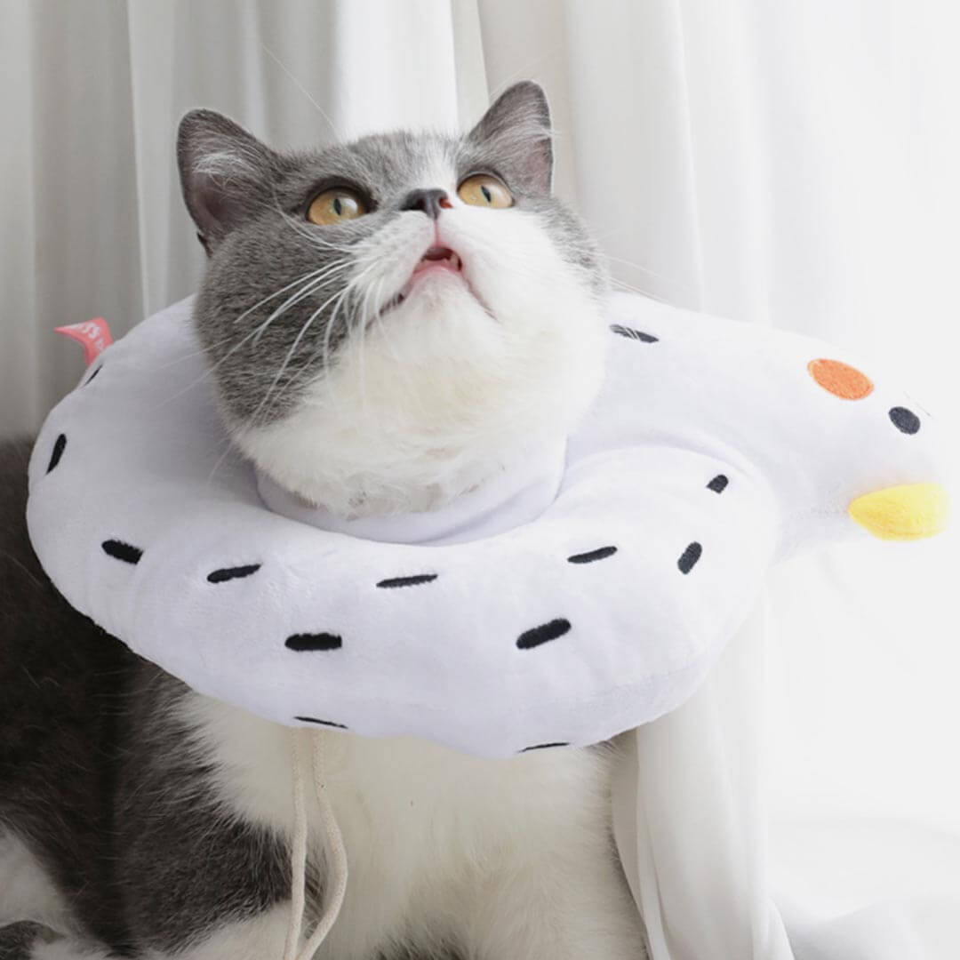 Goose Elizabethan Collar | Cat with E Collar | MissyMoMo