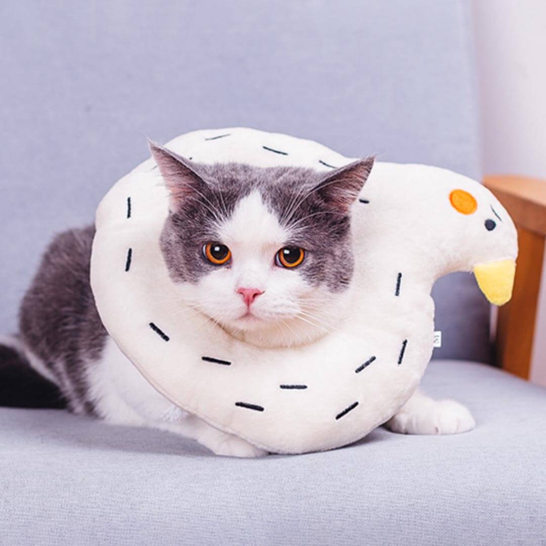 Goose Elizabethan Collar | Cat with E Collar | MissyMoMo