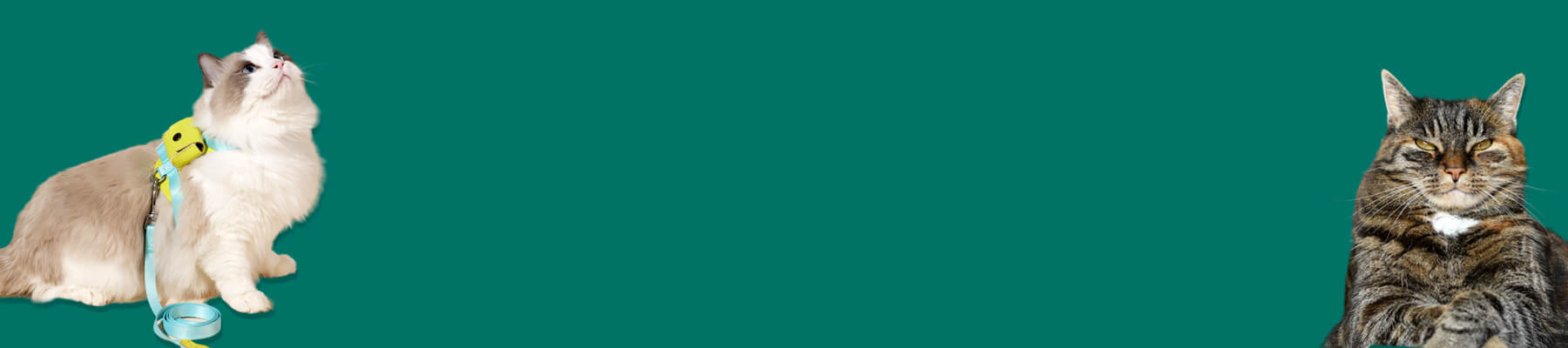 H-Style Cat Harness Collection