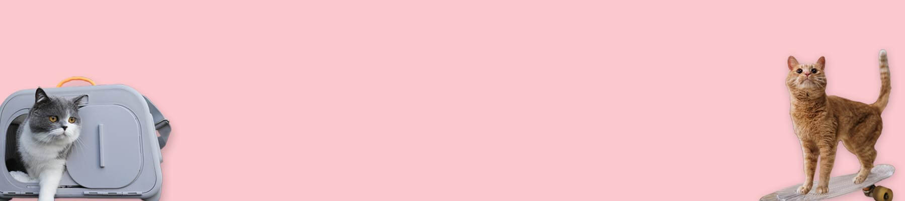 MissyMoMo Hard Cat Carrier Collection