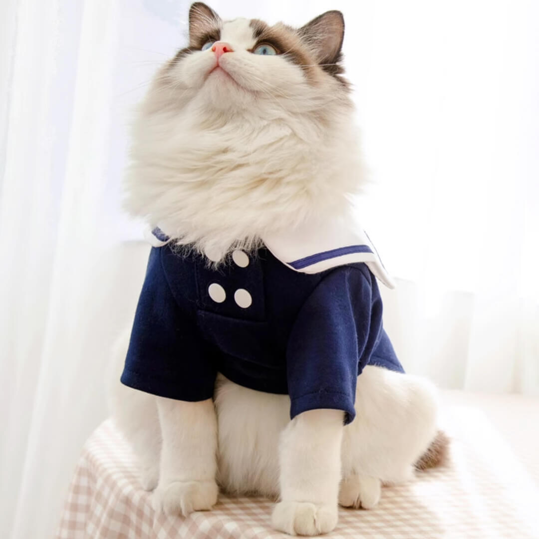 Cat in Sailor Shirt | Cat Clothes | MissyMoMo