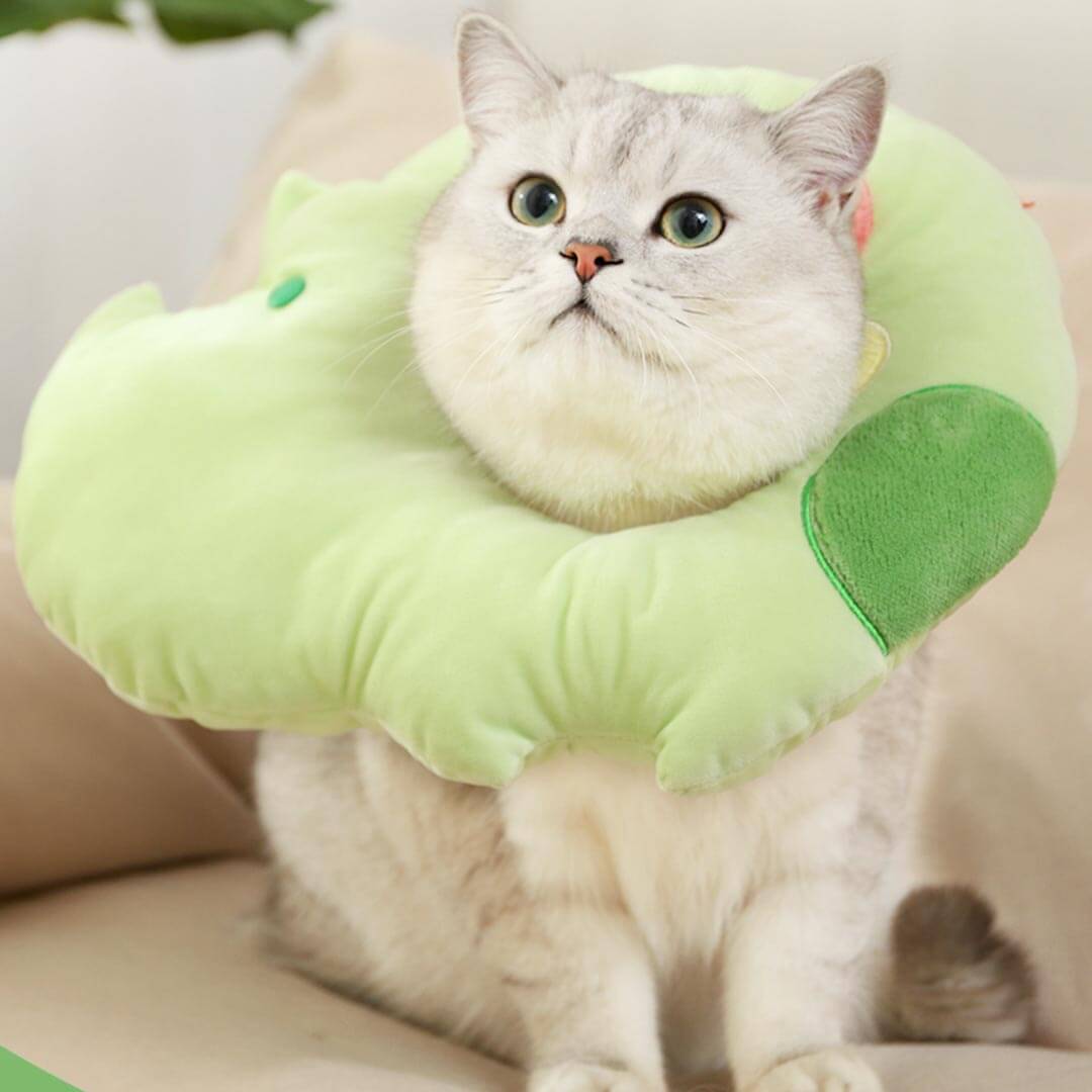 Hippo Elizabethan Collar | Cat with E Collar | MissyMoMo