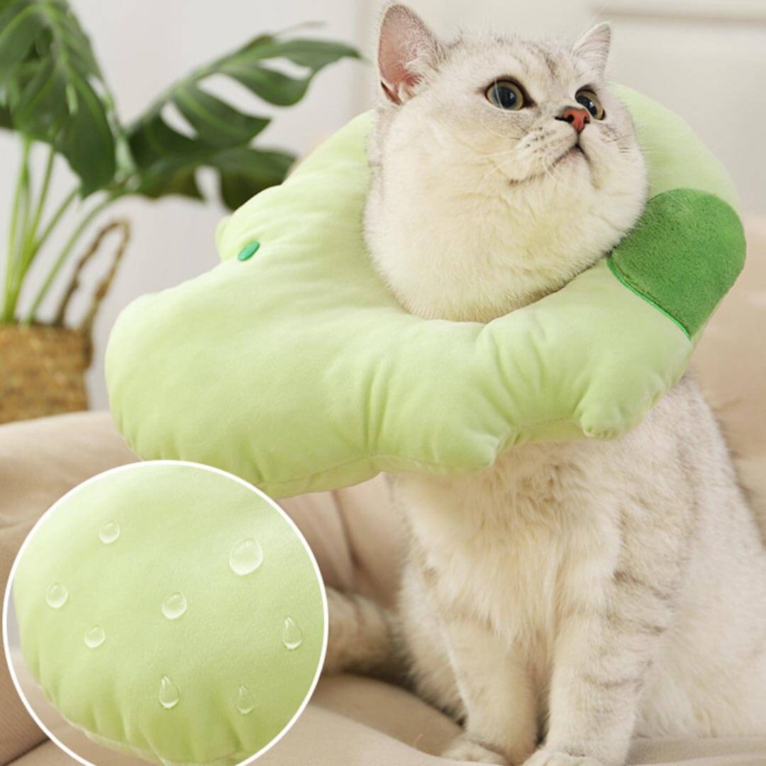 Hippo Elizabethan Collar | Cat with E Collar | MissyMoMo