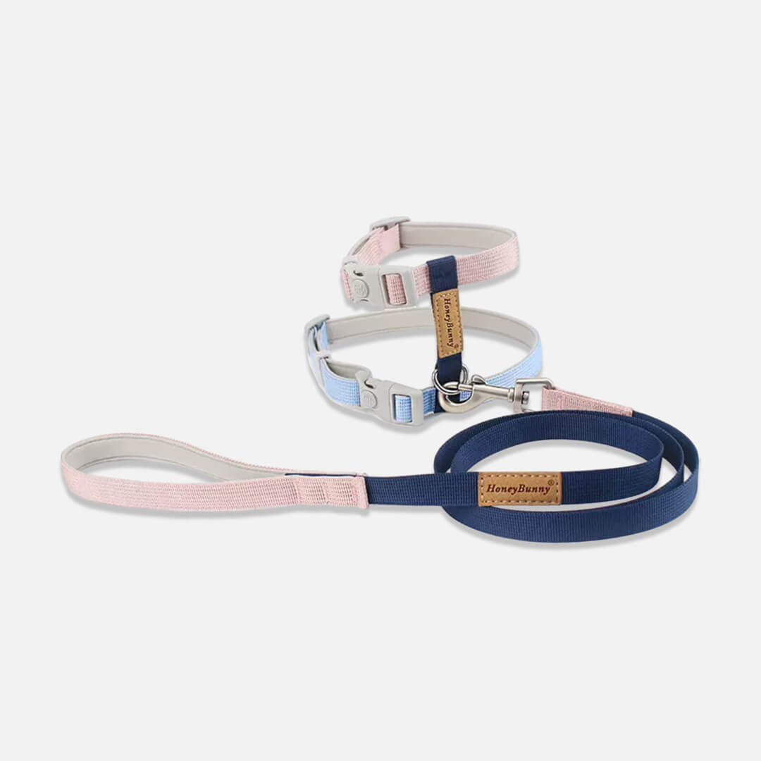 Honey Bunny H-Style Cat Harness & Leash Set | MissyMoMo