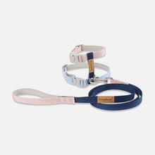 Load image into Gallery viewer, Honey Bunny H-Style Cat Harness & Leash Set | MissyMoMo