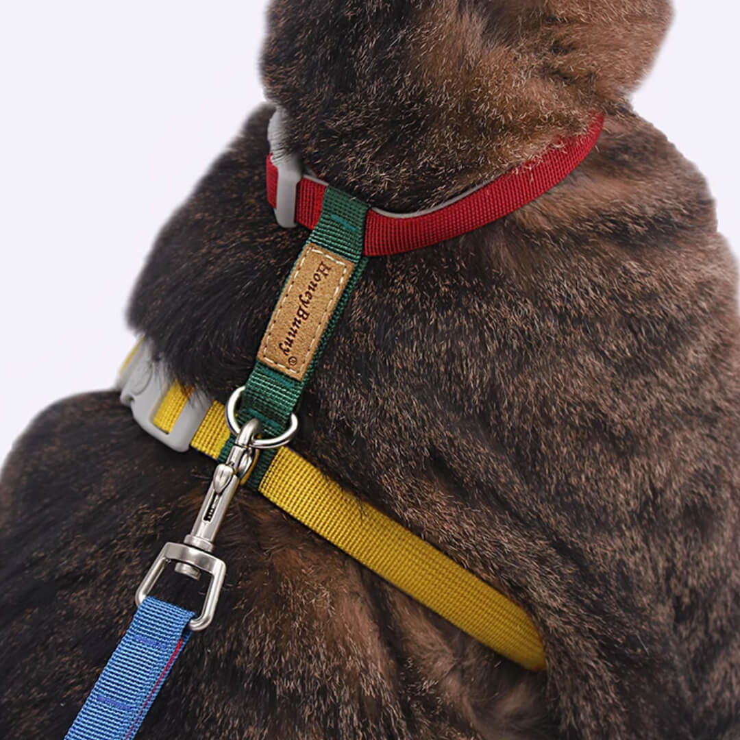 Cat on Honey Bunny H-Style Cat Harness | MissyMoMo