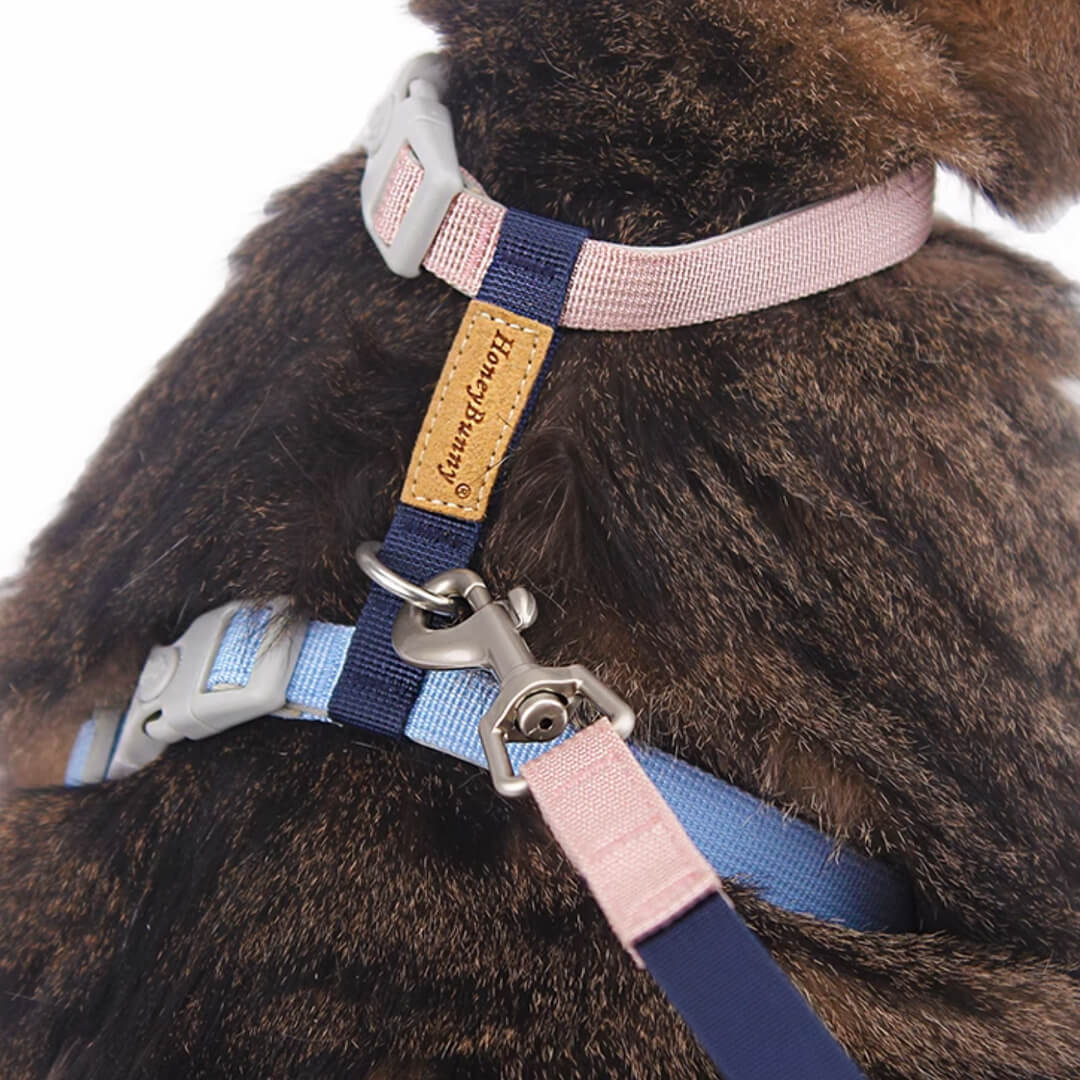 Cat on Honey Bunny H-Style Cat Harness | MissyMoMo