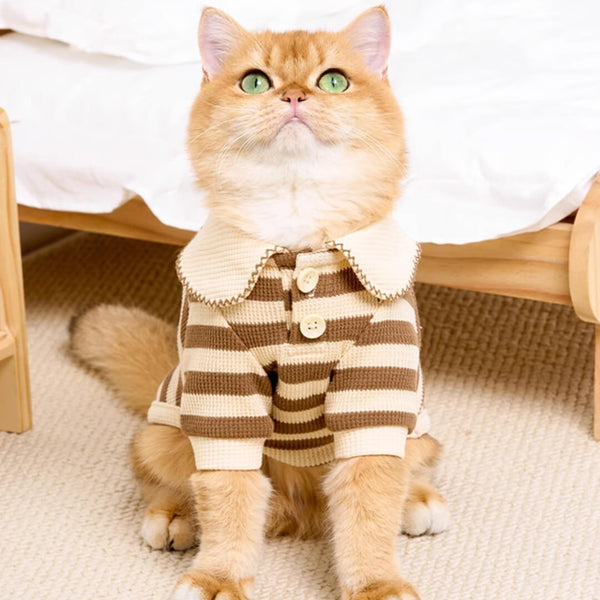Cat in Brown Striped Shirt | MissyMoMo