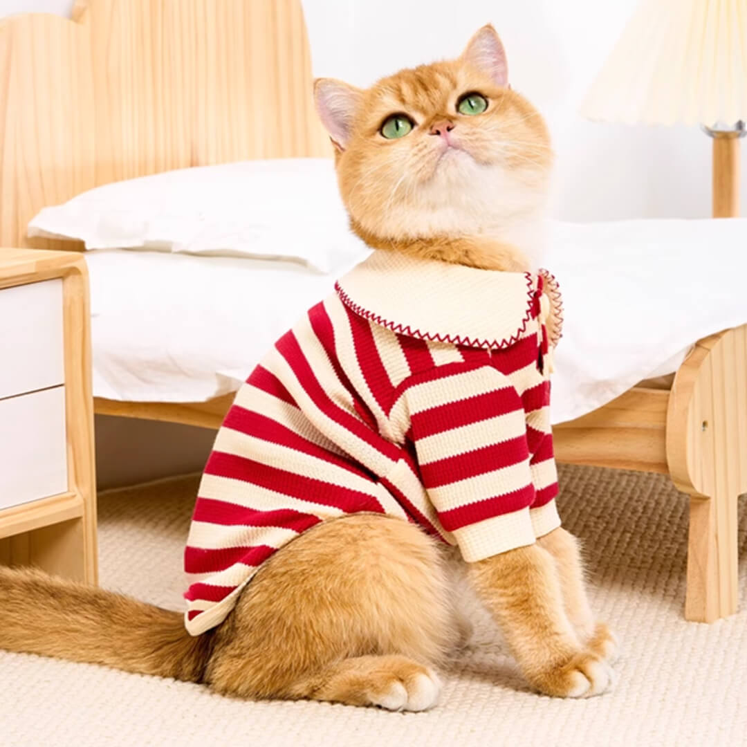 Cat in Red Striped Shirt | Cat Clothes | MissyMoMo