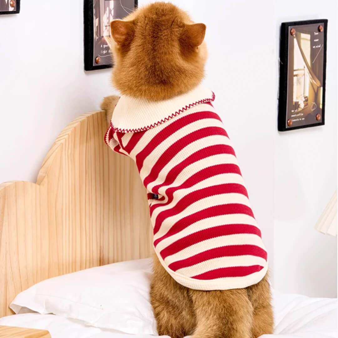 Cat in Striped Shirt | Cat Clothes | MissyMoMo