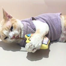 Load image into Gallery viewer, Cat with Cute Ice cream Silvervine Cat Chew Toy | MissyMoMo
