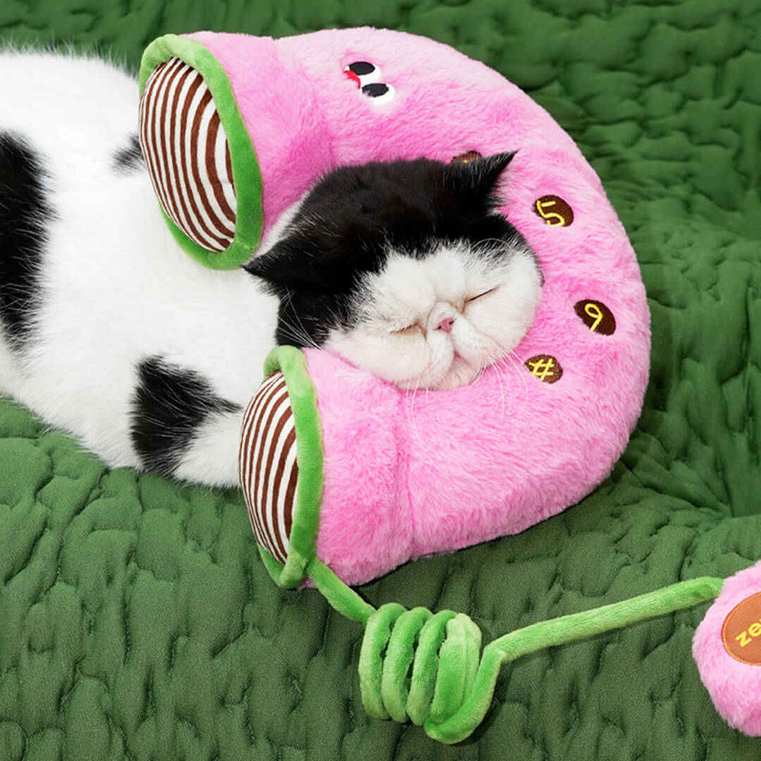 Cat Sleeping on Pink Plush Pillow Cat Toy | Cat Toys | MissyMoMo