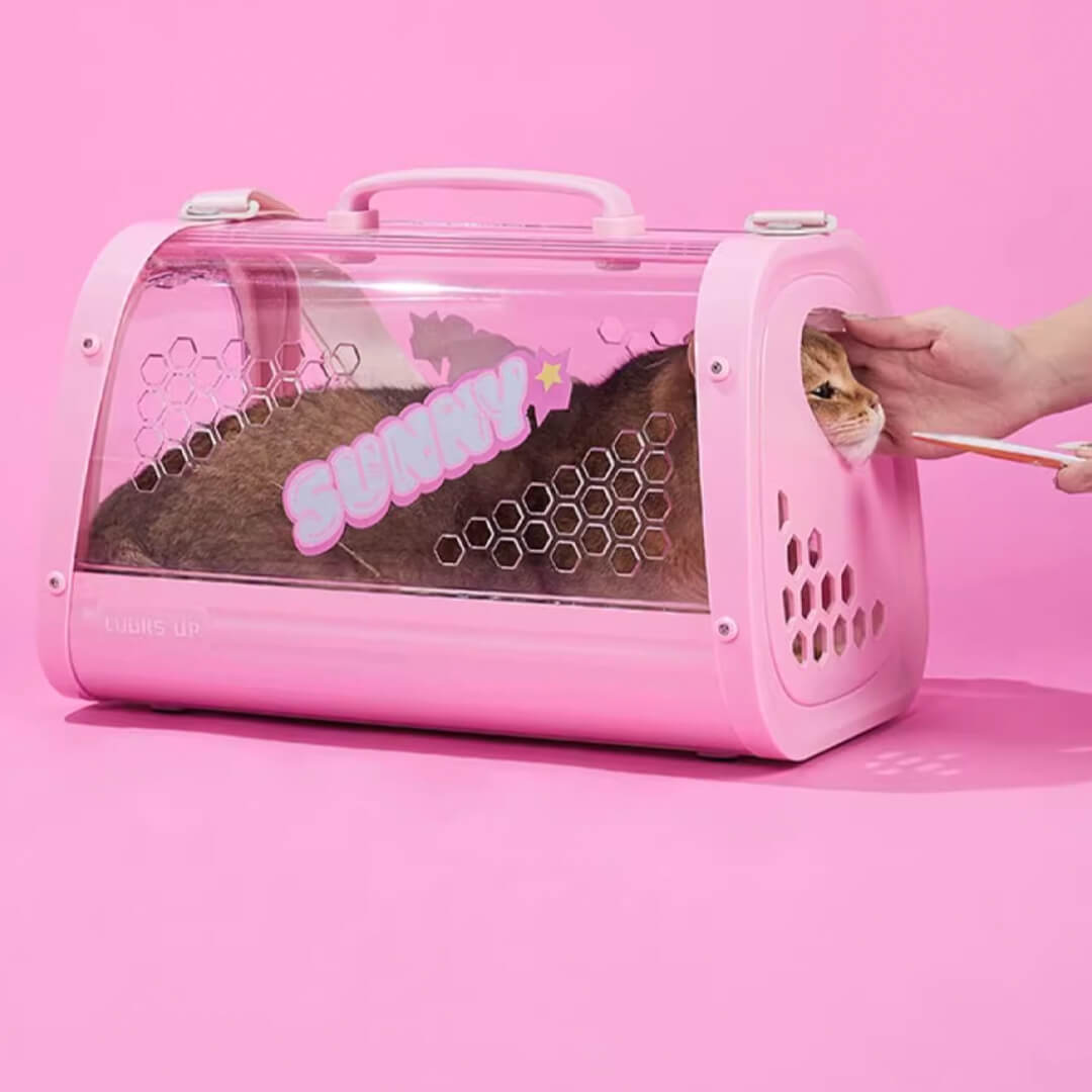 Stroking Cat Inside KittyMoMo Pink Clear Hard Cat Carrier | MissyMoMo