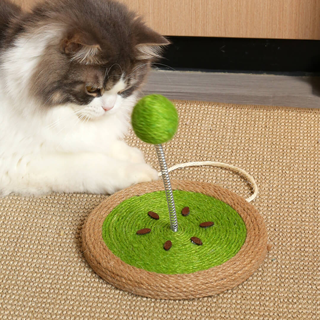Cat Playing with Kiwi Sisal Scratcher with Sisal Spring Ball | Interactive Cat Toys | MissyMoMo