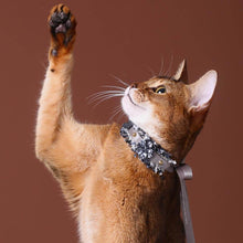 Load image into Gallery viewer, La Lune Cat Collar | Luxurious Accessories for Cats | MissyMoMo