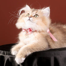 Load image into Gallery viewer, La Rose Cat Collar | Luxurious Accessories for Cats | MissyMoMo
