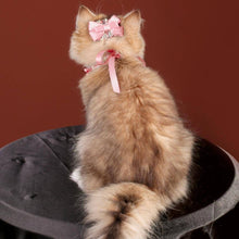 Load image into Gallery viewer, La Rose Cat Collar | Luxurious Accessories for Cats | MissyMoMo
