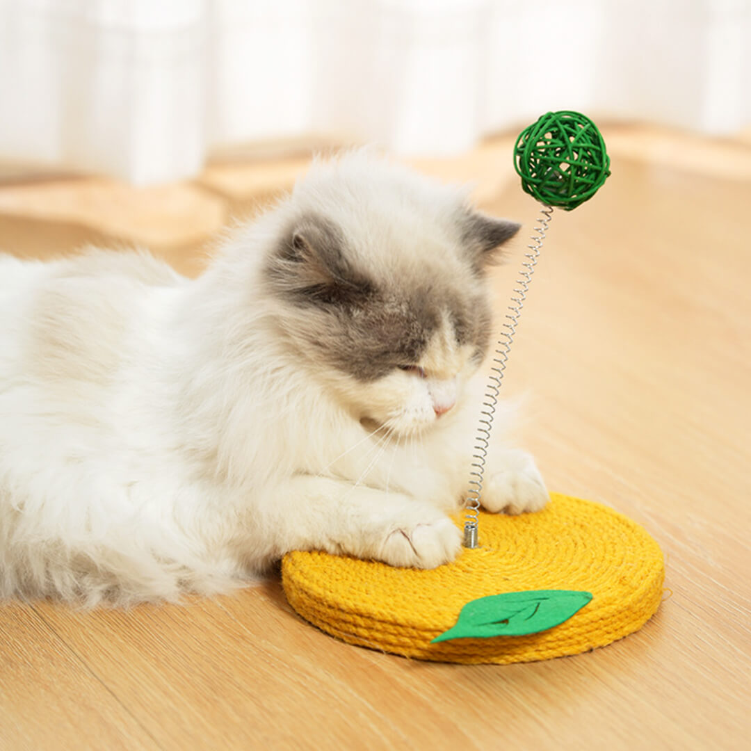 Cat Playing with Lemon Sisal Scratcher with Rattan Spring Ball | Interactive Cat Toys 