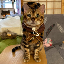 Load image into Gallery viewer, Cat in Leopard Print Cat Hat & Bib | MissyMoMo