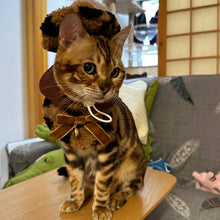 Load image into Gallery viewer, Cat in Leopard Print Cat Hat & Bib | MissyMoMo
