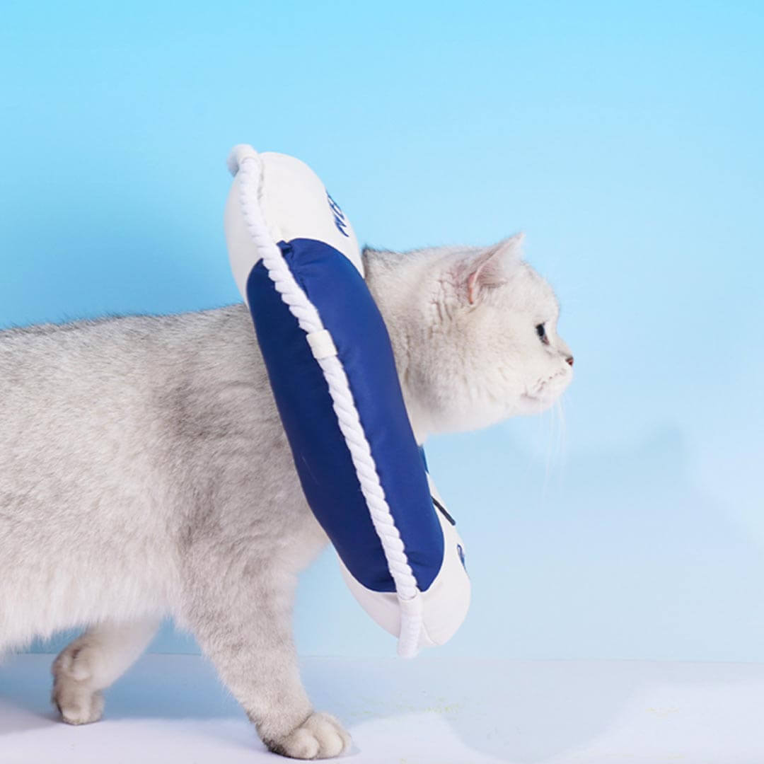 Lifebuoy Elizabethan Collar for Cats | Cat with E Collar | MissyMoMo