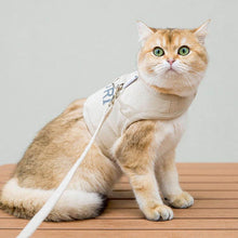Load image into Gallery viewer, Cat Sitting in Loki Cat Harness | MissyMoMo