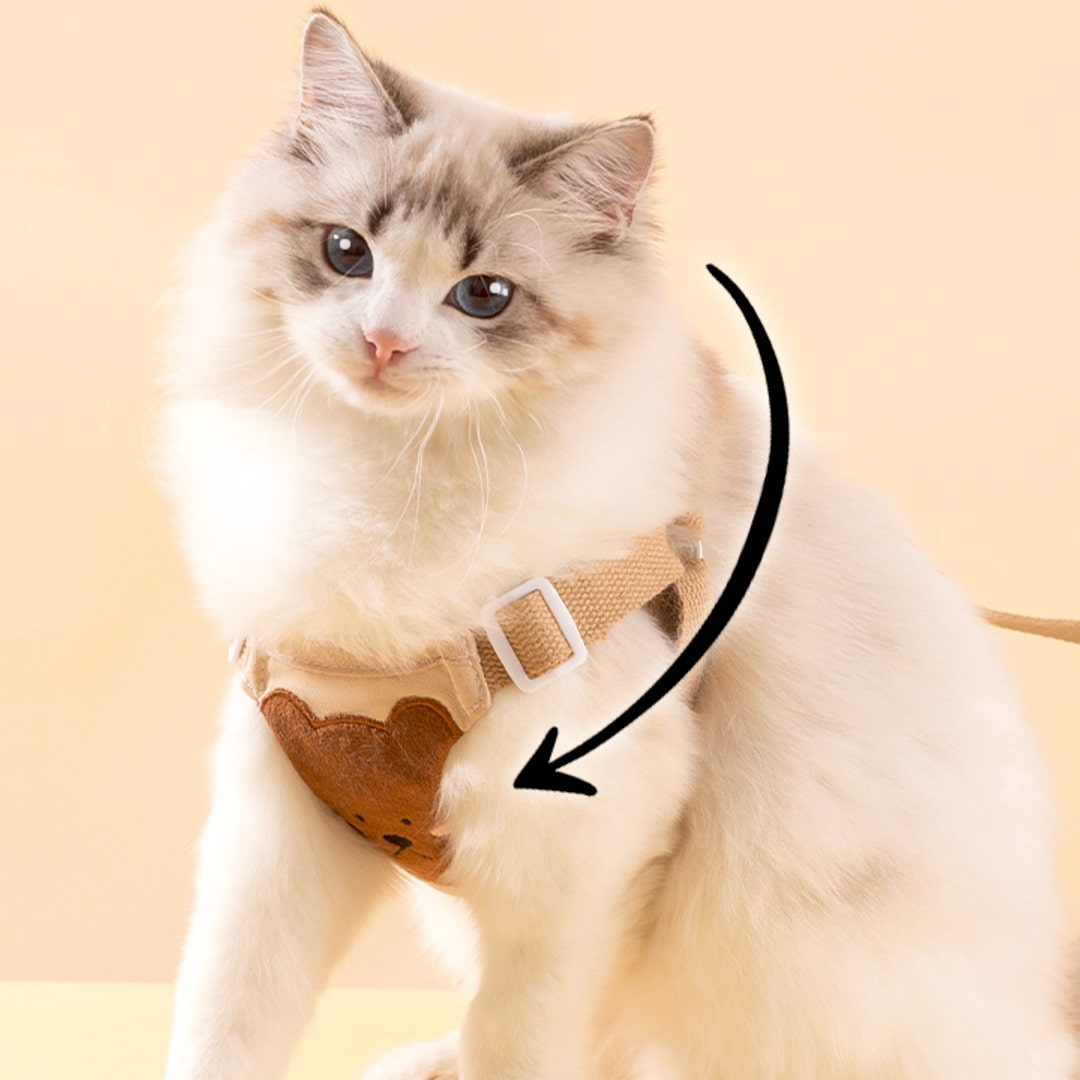 Cat Wearing Lolly Cat Harness In Beige | MissyMoMo