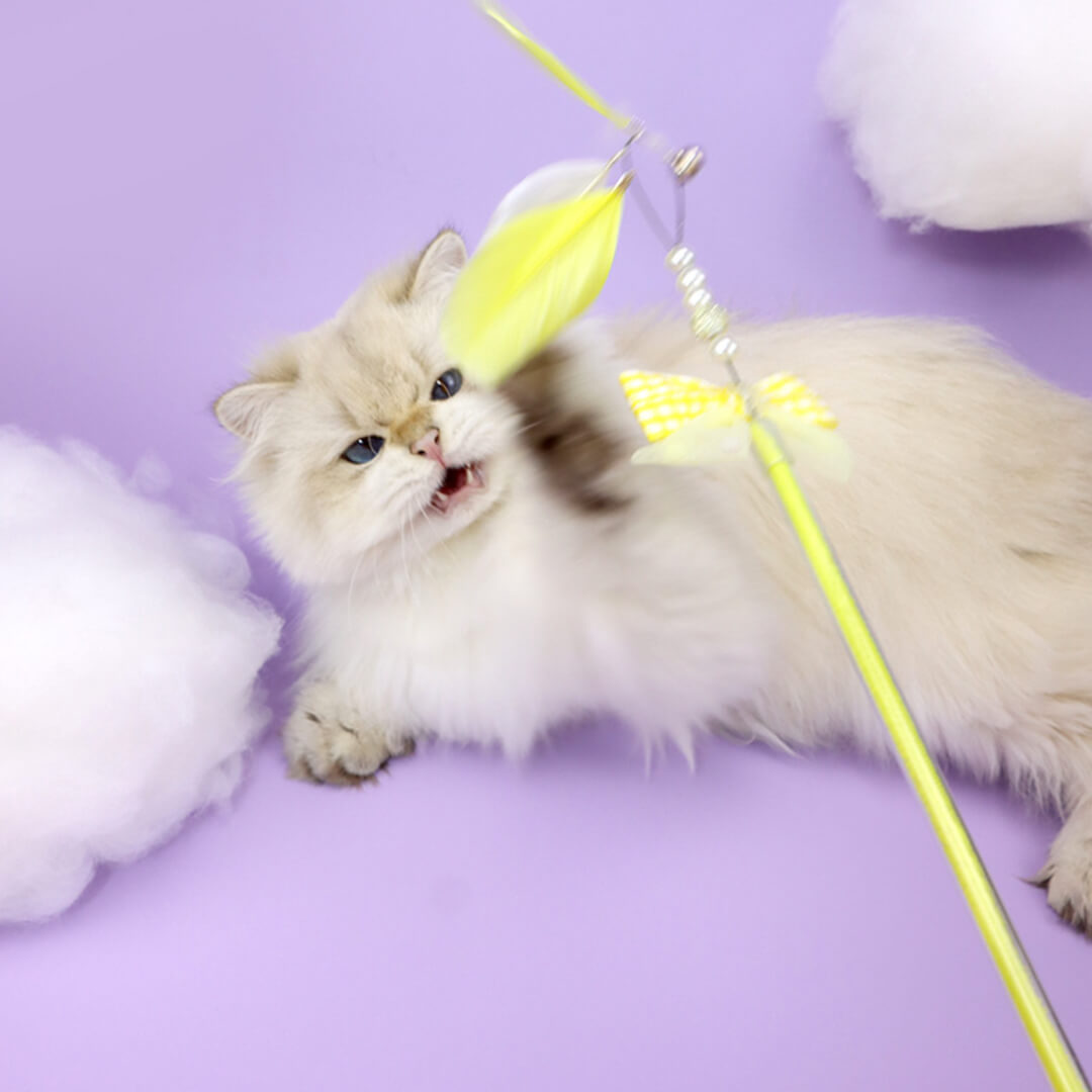 Cat with Feather Ribbon Cat Wand Toys | MissyMoMo