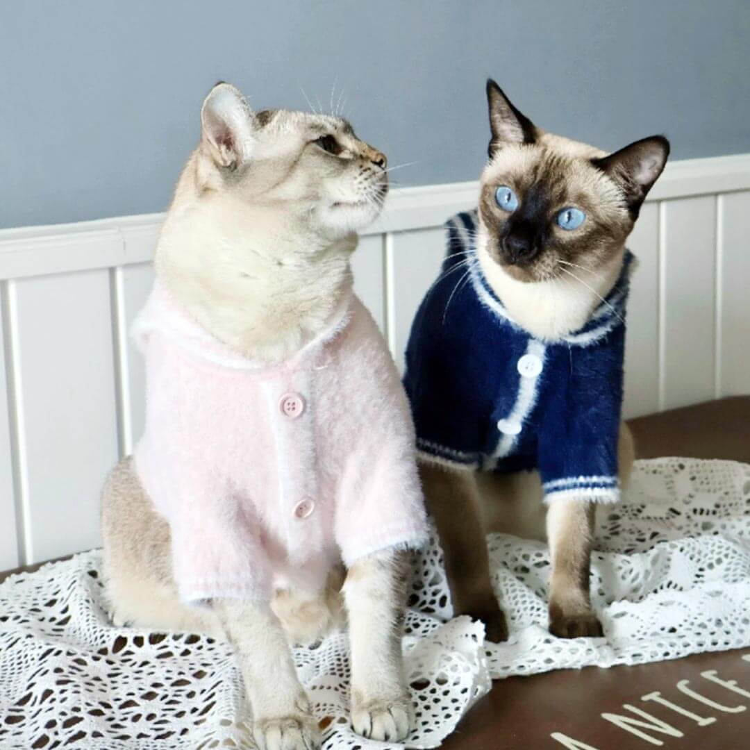 Pink And Navy Sailor Cat Cardigans On Cats | Matching Cat Sweaters | MissyMoMo