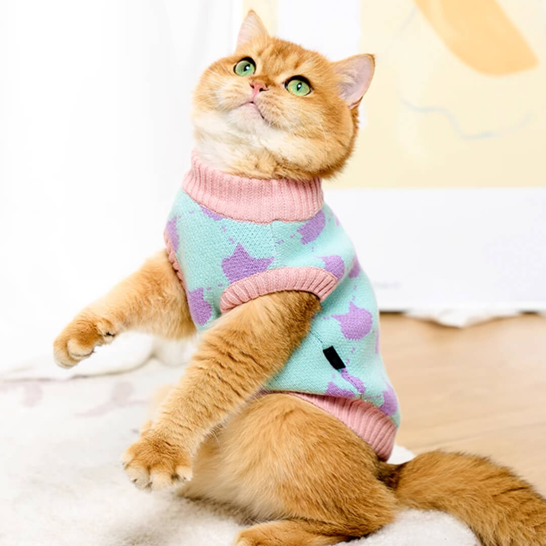 Cat in Cute Sweater | MissyMoMo