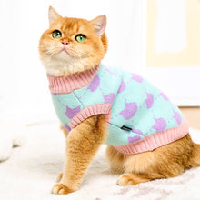 Load image into Gallery viewer, Cat in Cute Sweater | MissyMoMo