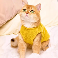 Load image into Gallery viewer, Cat in Cute Yellow Vest | MissyMoMo