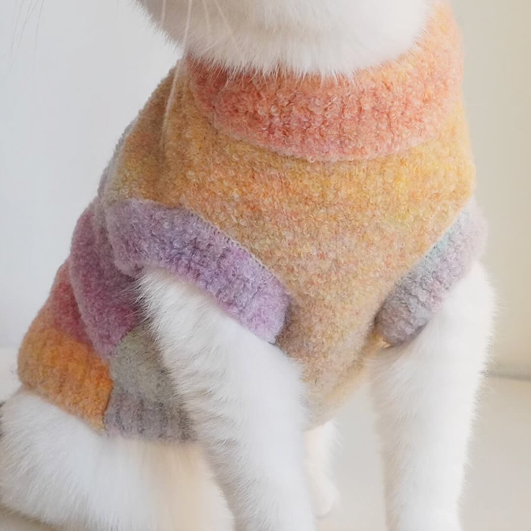 Cat in Tie-dye Sweater | MissyMoMo