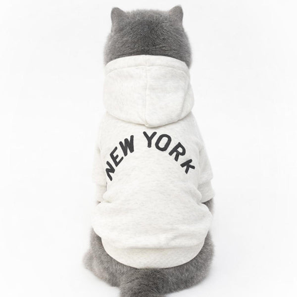 Grey British Shorthair Cat Wearing Light Grey New York Cat Hoodie | Cat Hoodie For Cats | MissyMoMo