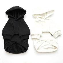 Load image into Gallery viewer, Black And Light Gray New York Cat Hoodies | Cat Hoodie Outfits | MissyMoMo