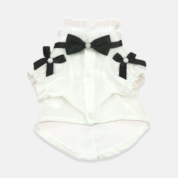 Missy Cat Shirt | Stylish Shirt for Cats & Kittens | MissyMoMo