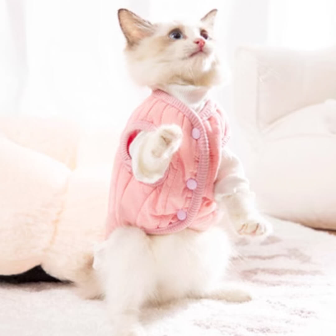 Kitten in Pink Reversible Jacket | MissyMoMo
