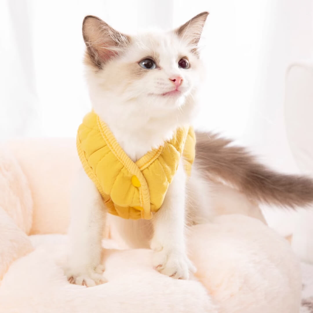 Cat in Yellow Reversible Jacket | MissyMoMo