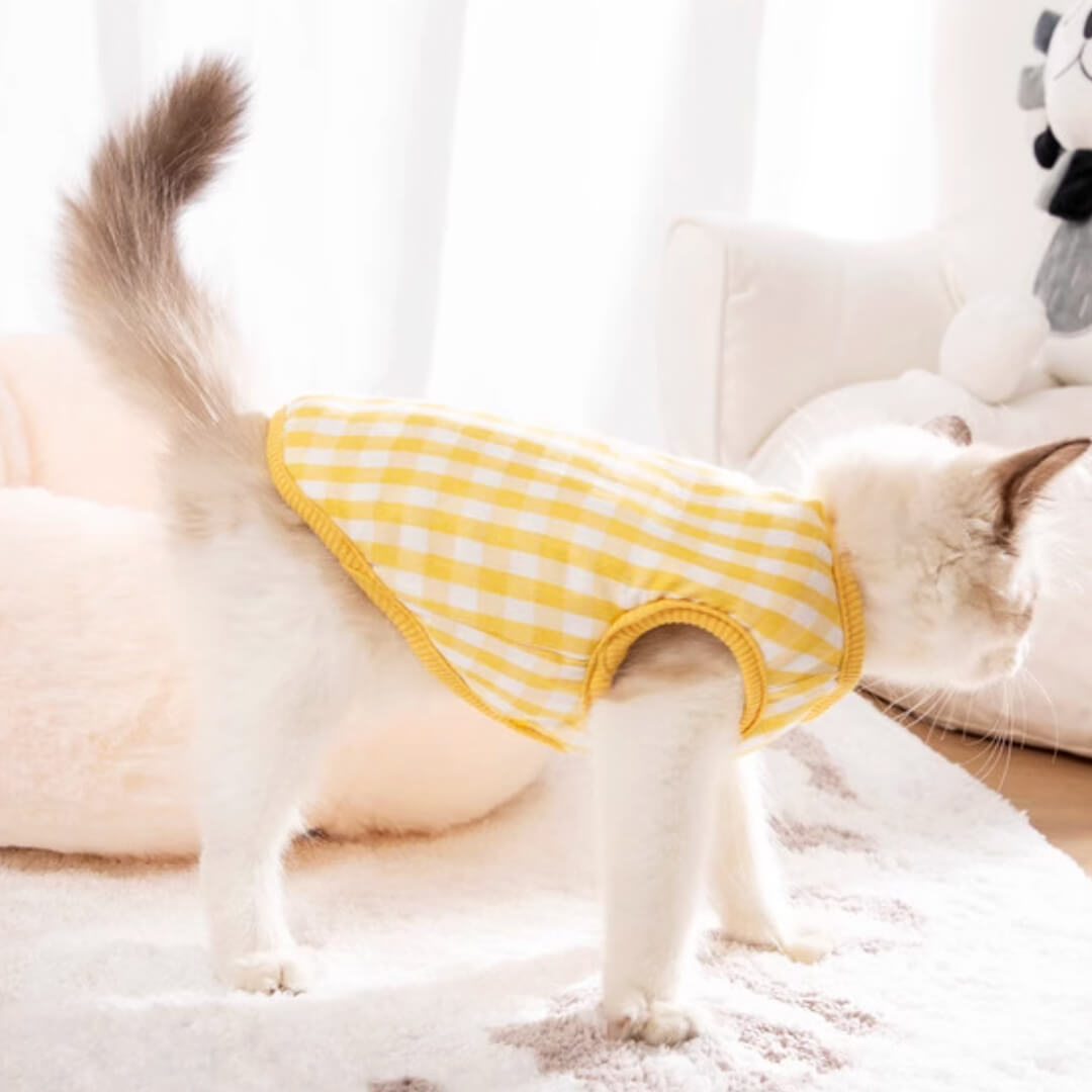 Cat in Yellow Reversible Jacket | MissyMoMo