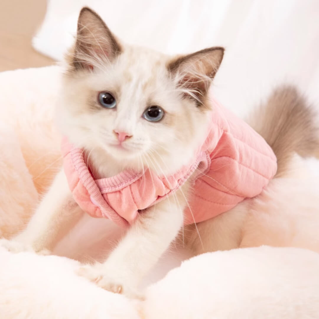 Kitten in Pink Reversible Jacket | MissyMoMo