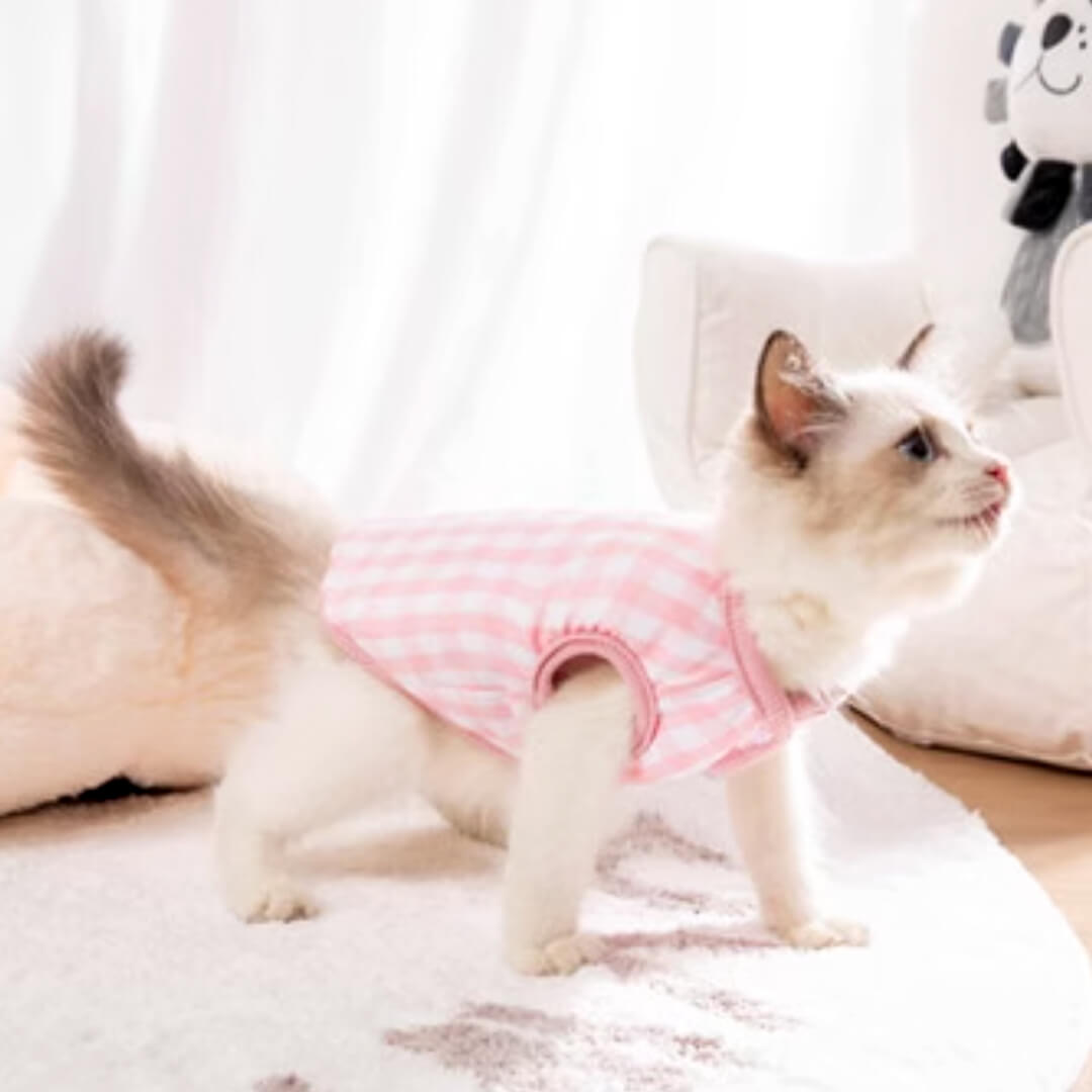 Cat in Pink Reversible Jacket | MissyMoMo
