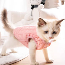 Load image into Gallery viewer, Kitten in Pink Reversible Jacket | MissyMoMo