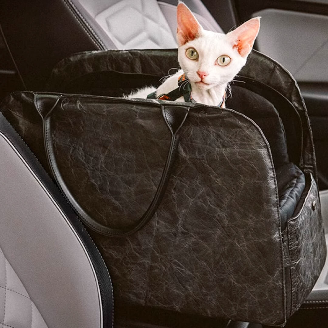 Cat Sitting in Black Leather Cat Car Seat Carrier | MissyMoMo