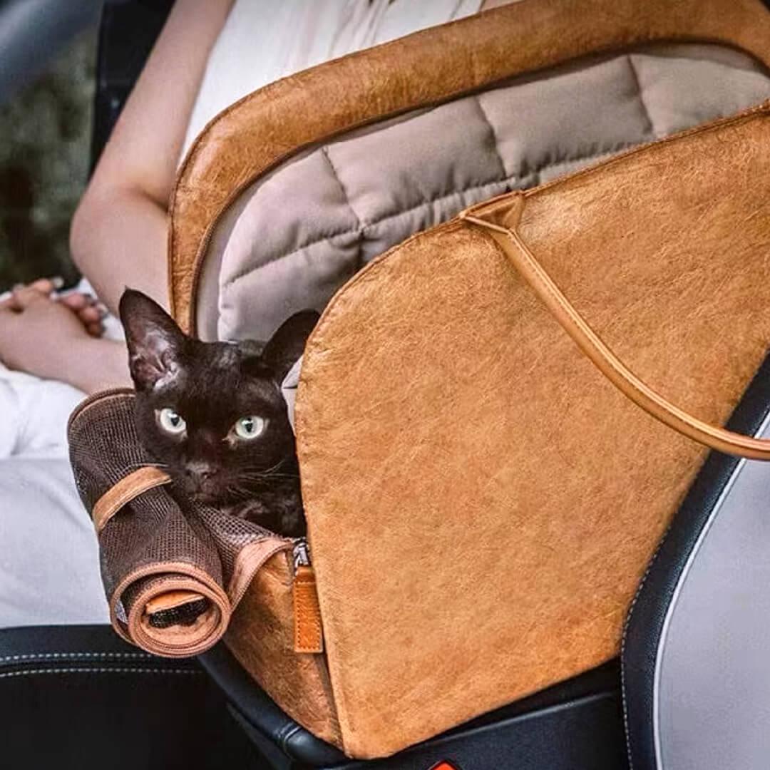 Black Cat Sitting in Brown Leather Cat Car Seat Carrier | MissyMoMo