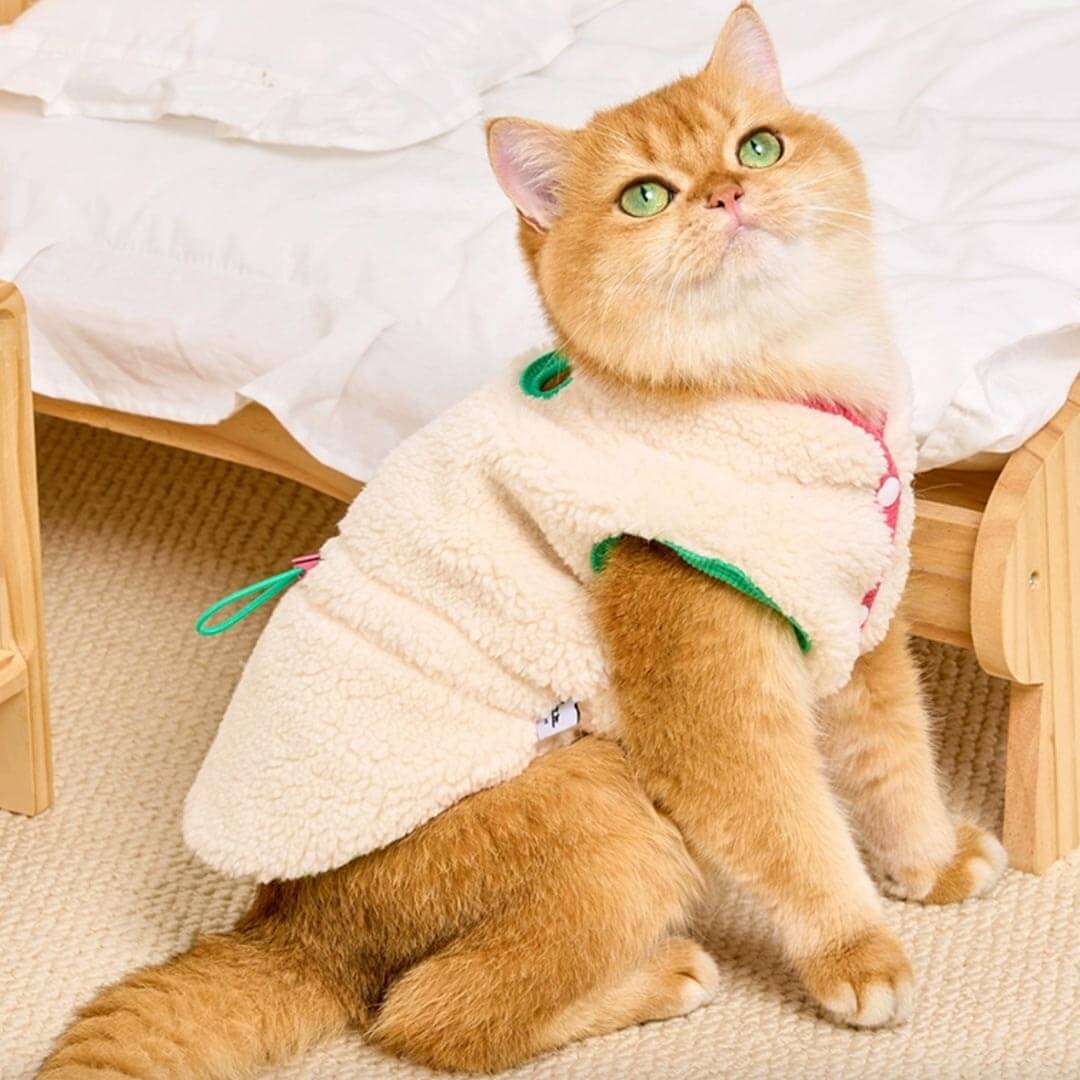 Cat in White Fleece Jacket | MissyMoMo