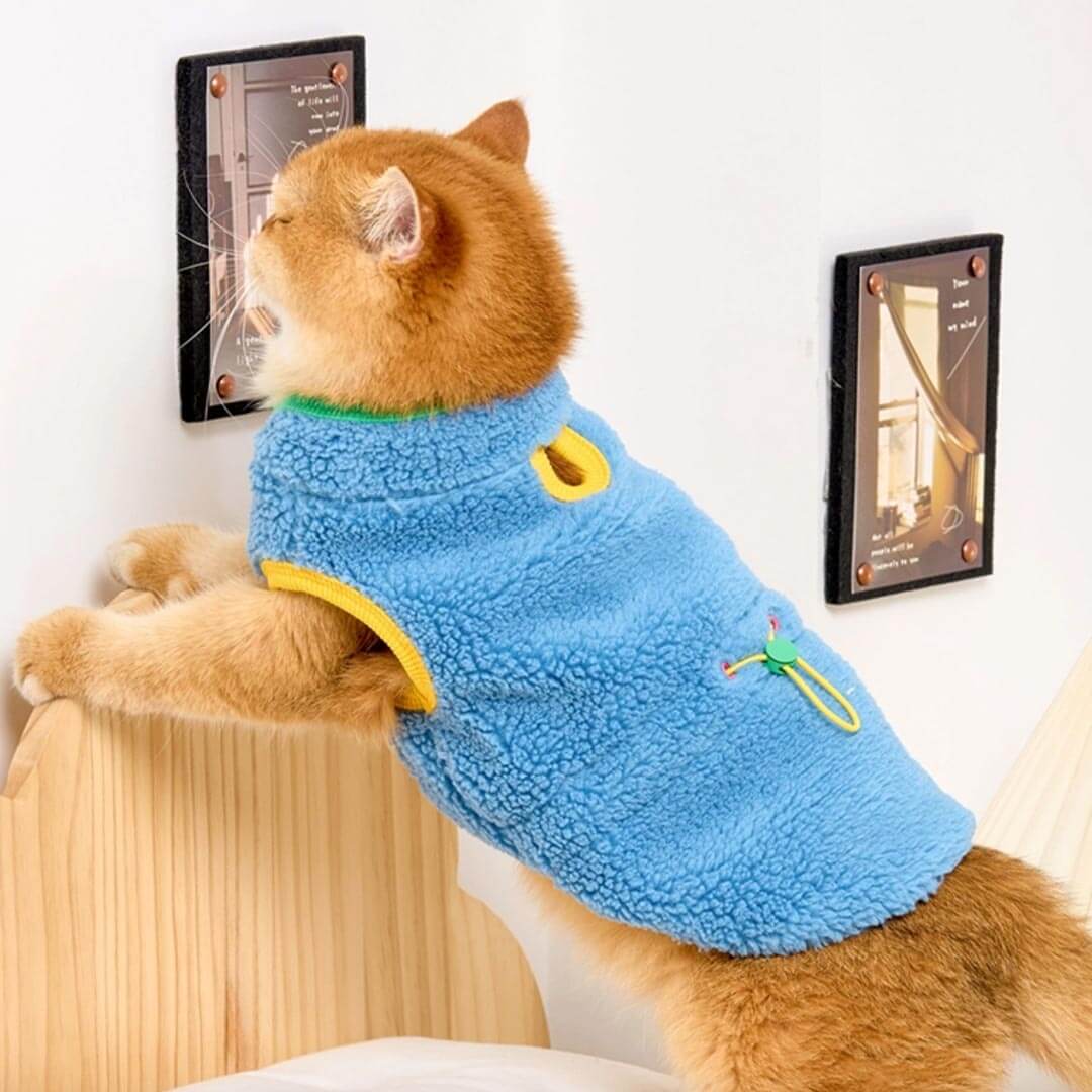 Cat in Blue Fleece Jacket | MissyMoMo