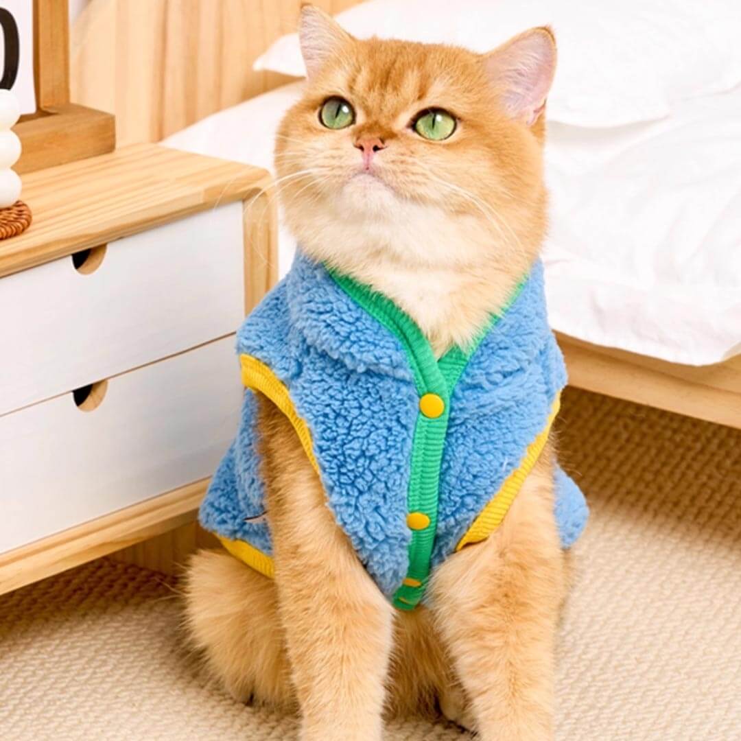 Cat in Blue Fleece Jacket | MissyMoMo